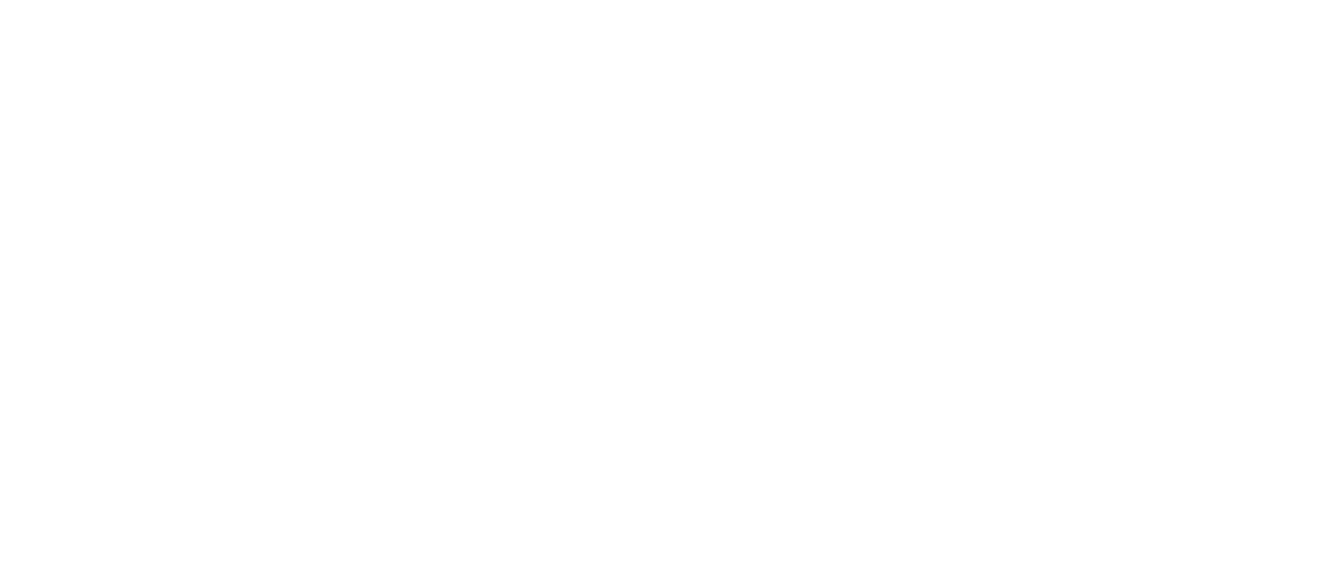 Rice Student Venture Fund